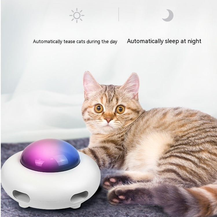 “Multi-Directional Motion Platform for High-Energy Indoor Cats”