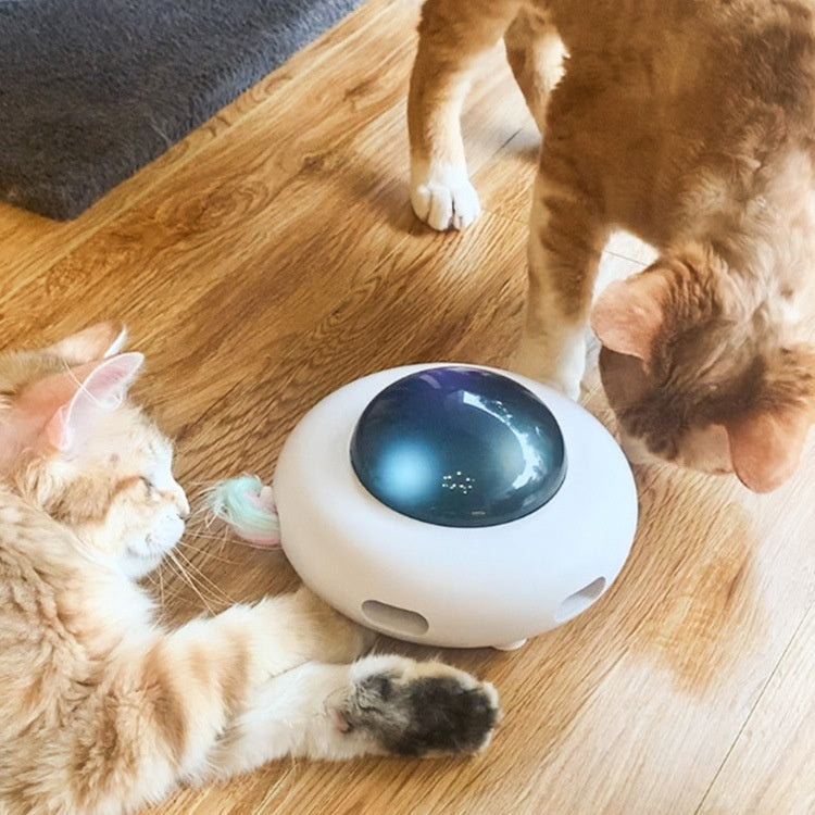 “Multi-Directional Motion Platform for High-Energy Indoor Cats”