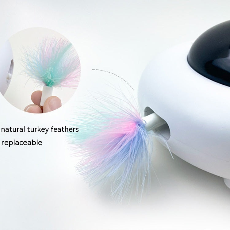 “Multi-Directional Motion Platform for High-Energy Indoor Cats”